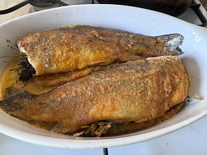 img_2917_1542759103.jpeg