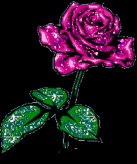 img_bestpage114ruze_menava.gif