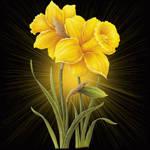 img_bestpage121narcis.gif