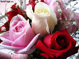 img_bestpage4560_677274117.jpg