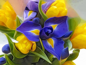 irisy_a_zlute_tulipany_539213774.jpg