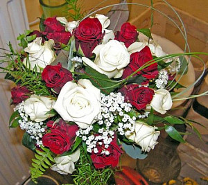 jana_417633033.jpg