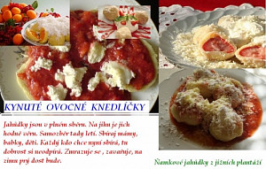 knedliky_885825055.jpg