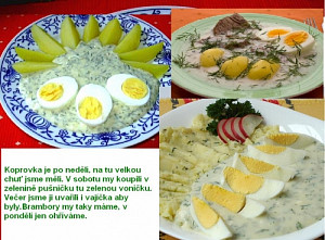 koprovka1.jpg
