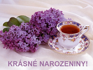 krasne_narozeniny.jpg