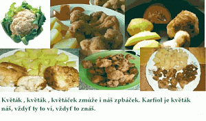kvetak_02.gif