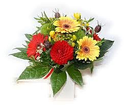 misa_1521186201.jpg