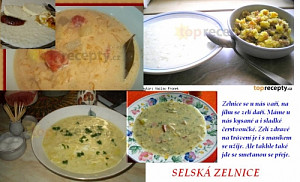 moje-kyselice-s-hlivou-ustricnou-95049.jpg