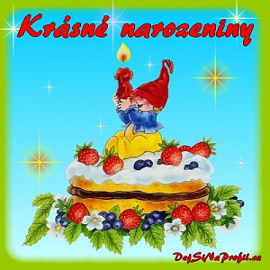 narozeniny2_11325522.jpg