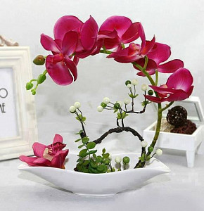 orchidea_299582808.jpg