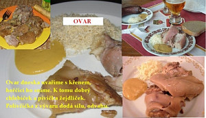 ovar_koleno.jpg
