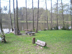 p5040003-1.jpg
