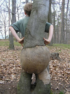 paradni_zadek.jpg