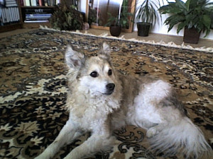 peggy_0175.jpg