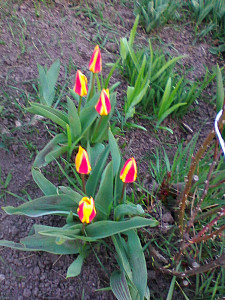 photo0338_573008888.jpg
