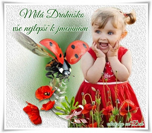 pro_drahulina.jpg