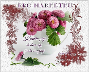 pro_marketky_1626577706.jpg