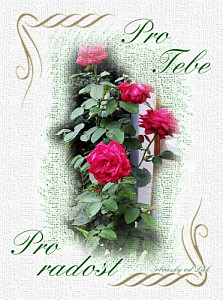 pro_tebe,pro_radost_53380130.jpg