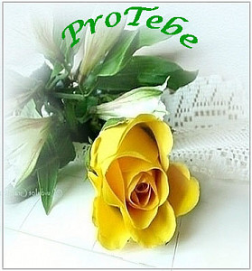 ruze_30625605.jpg