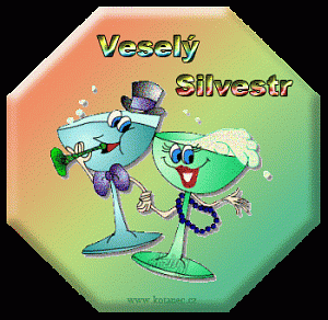 silvestr_005_animace.gif