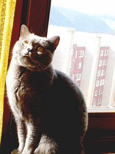 tejko_1673129756.jpg