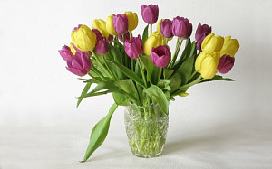 tulipany_318203272.jpg
