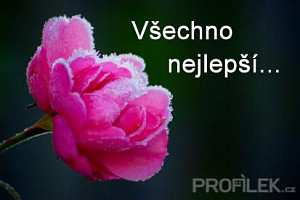 vsechno-nejlepsi-2.jpg