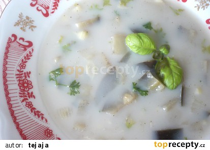 Lilková polévka s těstovinami