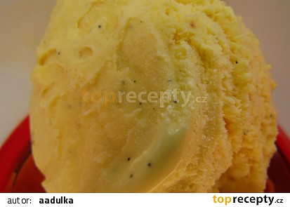 Pravá vanilková zmrzlina
