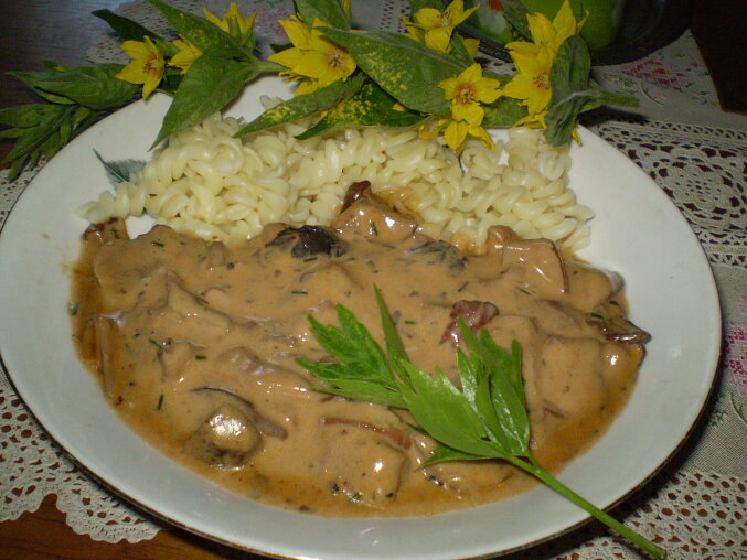 Houbovka po mamince