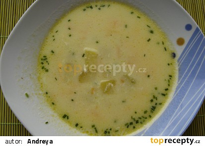 Sýrová polévka se zeleninou