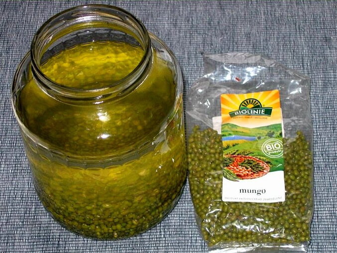 Mungo - klíčky