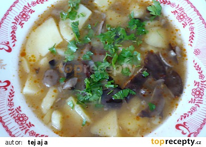 Houbová polévka