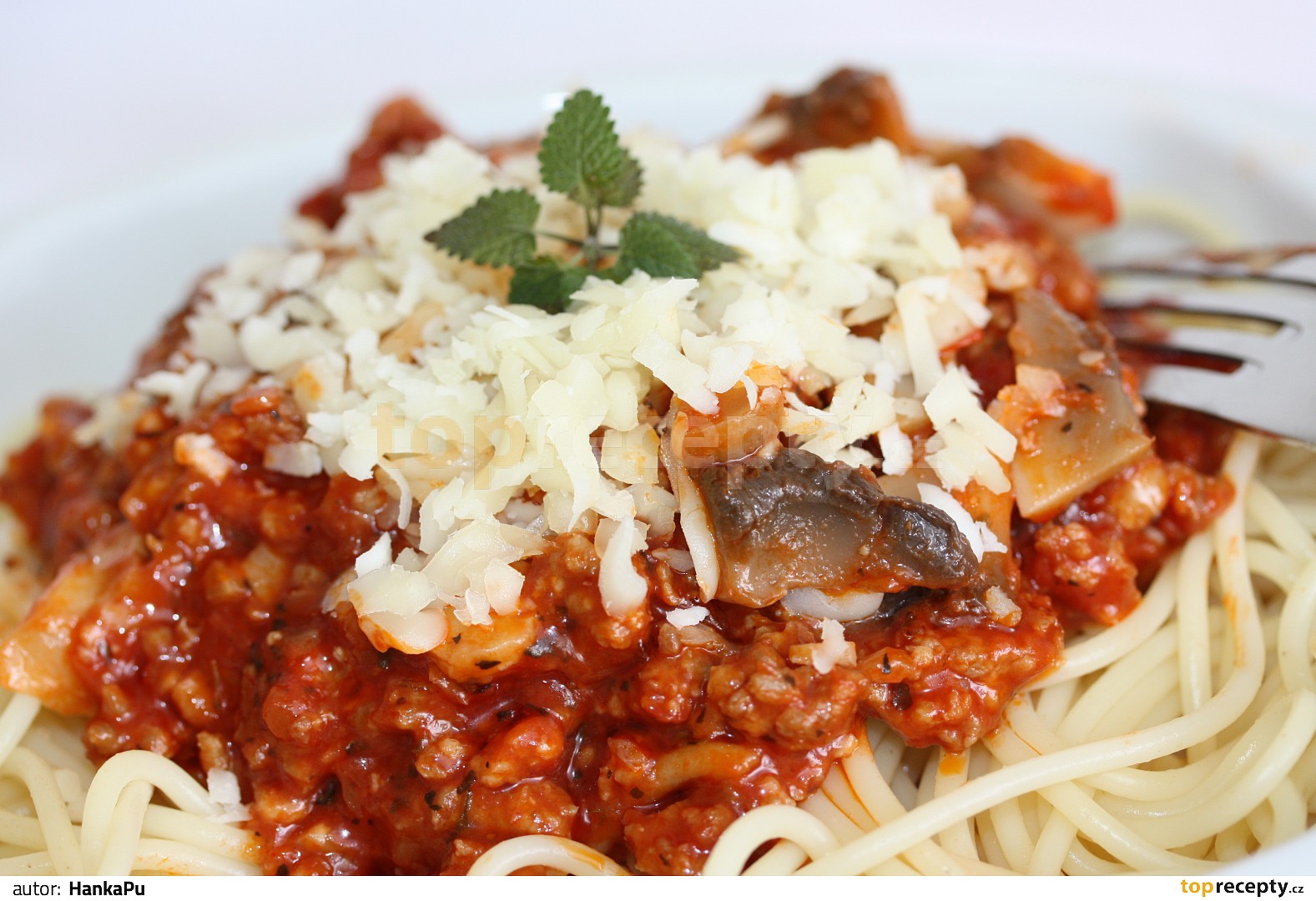 Omáčka na špagety - TopRecepty.cz