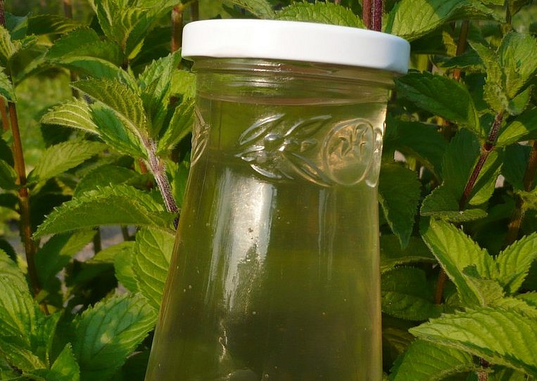 Mátový sirup (i pro diabetiky)
