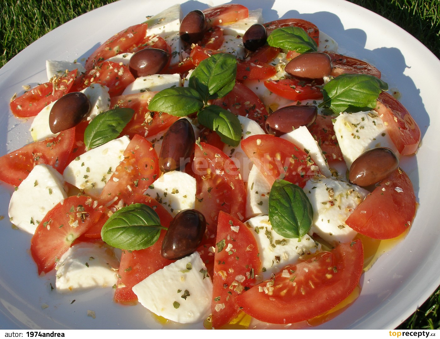 Caprese Salat Mit Spinat - Rezepte Suchen