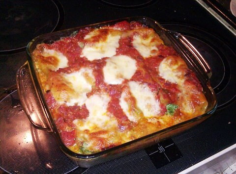 Špenátové cannelloni