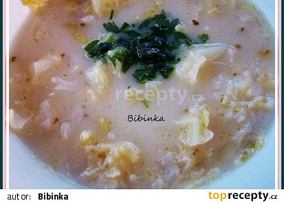 Kapustovo-zelná polévka s rýží nakyselo