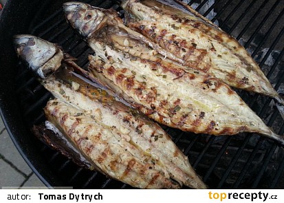 Grilované makrely
