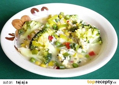 Zeleninová polévka s brokolicí a vaječnou jíškou