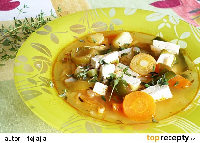 Zeleninová polévka s tofu