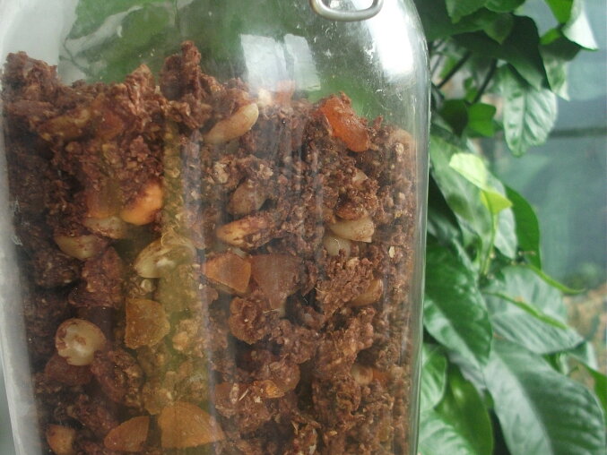 Pomerančovo-kakaová granola