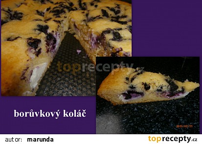Borůvkový koláč - fofrovník