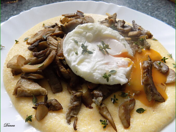 Krémová polenta s restovanou hlívou a ztraceným vejcem