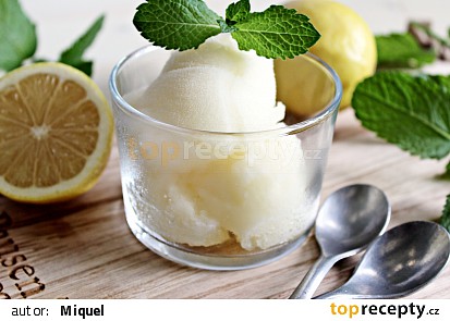Citronový sorbet z domácího zmrzlinovače