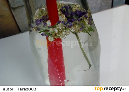 Bezinková šťáva ze Samoty u lesa