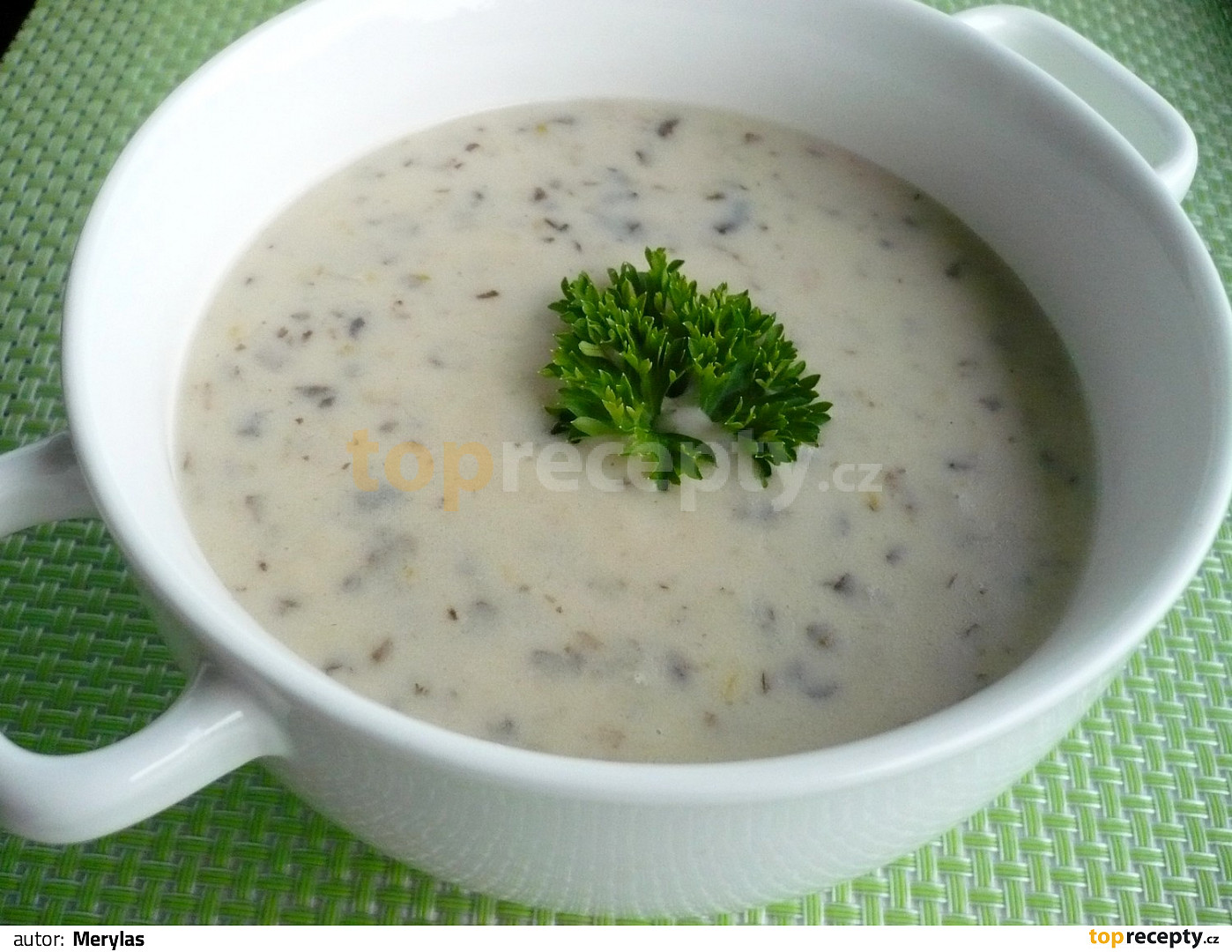 Žampionová omáčka II. recept TopRecepty.cz