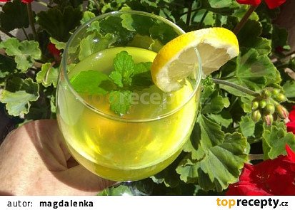 Sirup z fíkových listů