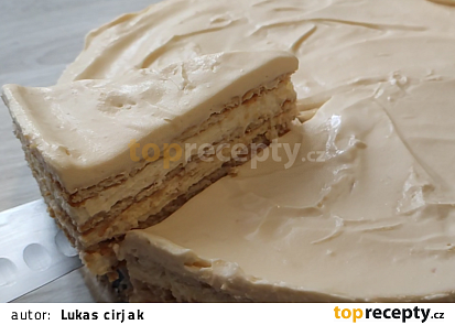 Nepečený salkový koláč se sušenkami