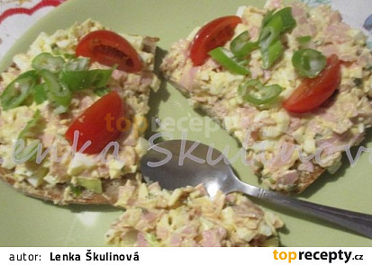 Šunková pomazánka se Gervais
